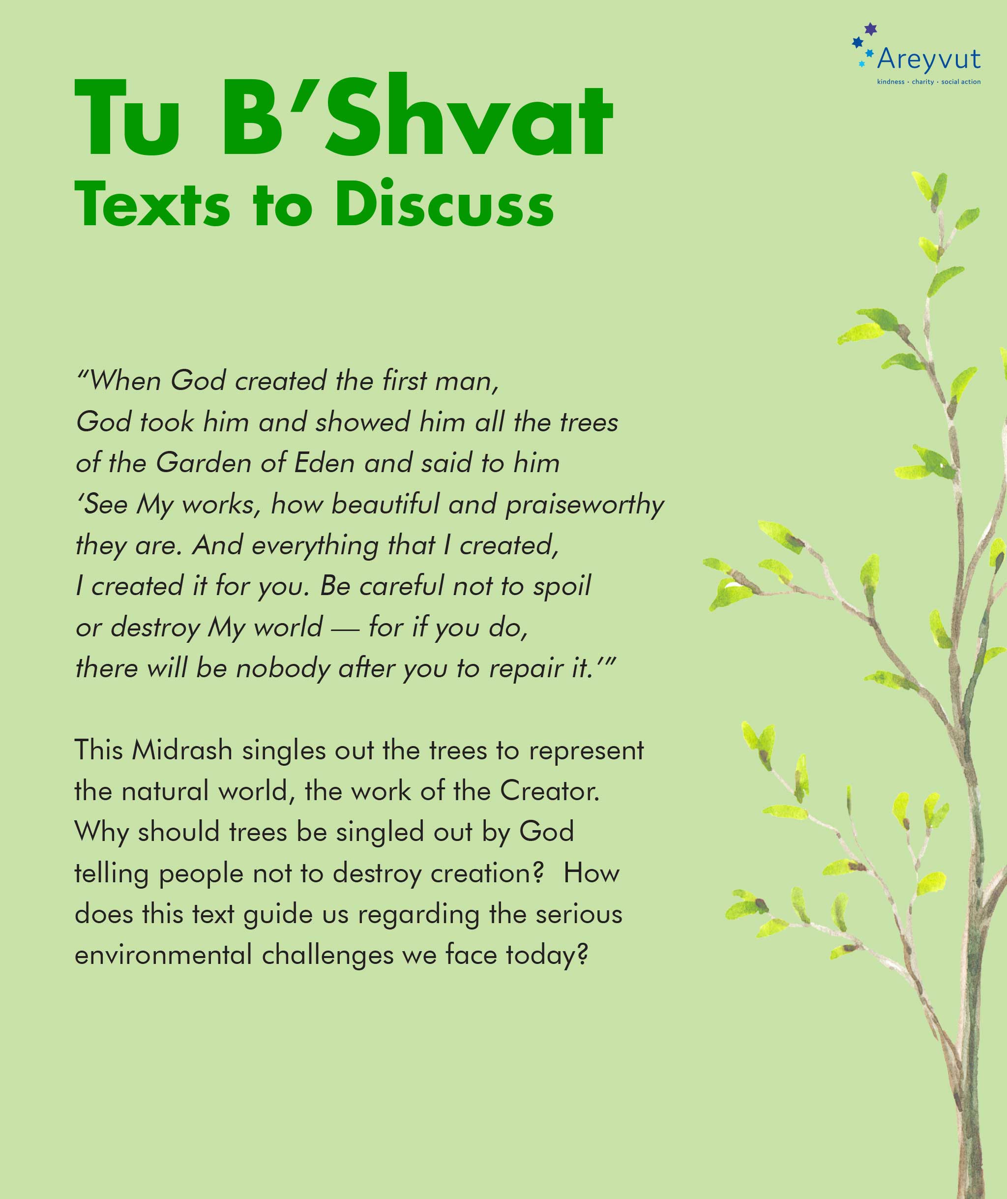 Tu B Shvat 5781 Areyvut Mitzvah Projects Tzedakah Tikkun Olam